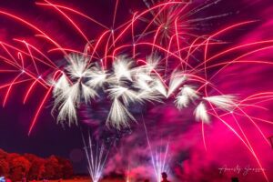 SEO Event Oct 2023 Firework Show